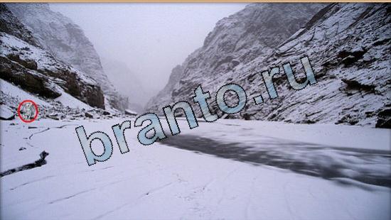 Игра Где же кот подсказки Уровень 5738