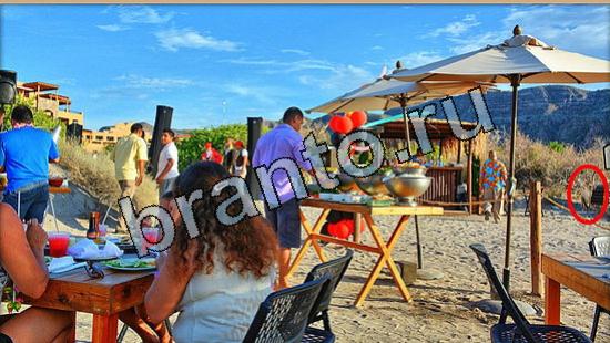 прохождение на игру Где же кот Уровень 5741