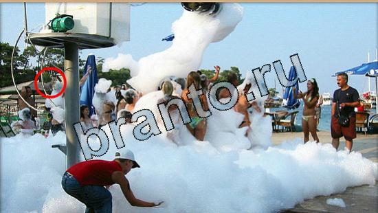 Где же кот прохождение игры Уровень 5742