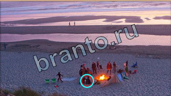 відповіді на игру Где же кот в одноклассниках Уровень 5743