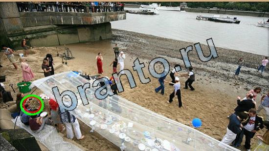 решения для игры Где же кот Уровень 5748