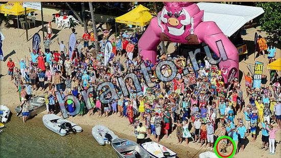 Где же кот помощь в картинках Уровень 5751