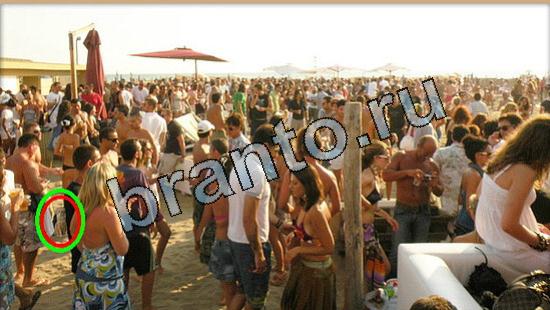 Где же кот ответы на новые задания Уровень 5753