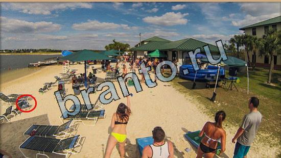 ответы на игру Где же кот Уровень 5754