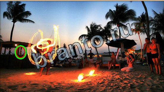 ответы в картинках на игру Где же кот Уровень 5757