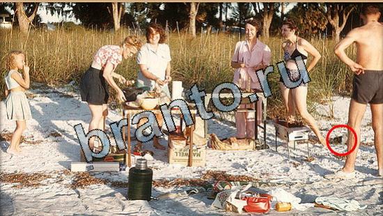 Где же кот ответы в одноклассниках Уровень 5759