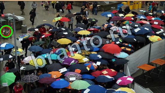 Подсказки на игру Где же кот Уровень 5762