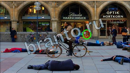 игра Где же кот помощь Уровень 5779