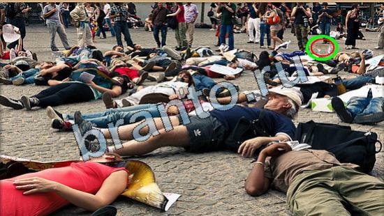 Игра Где же кот прохождение Уровень 5780