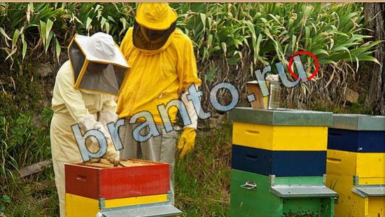 прохождение на игру Где же кот Уровень 5781