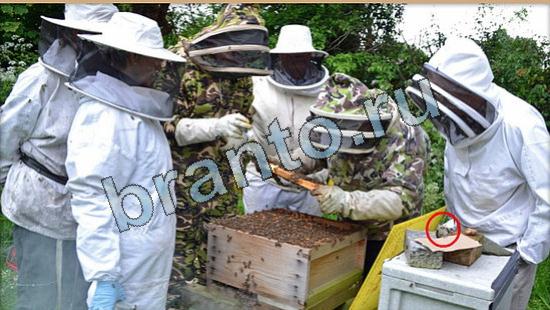 ответы Где же кот? в одноклассниках Уровень 5786