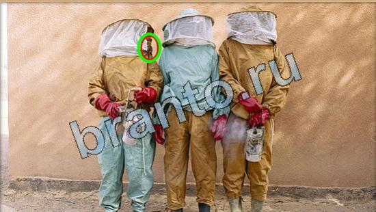 ответы для игры Где же кот Уровень 5787