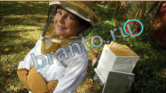 решения для игры Где же кот Уровень 5788