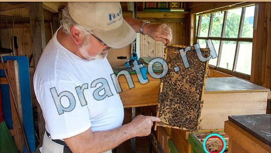 игра в одноклассниках Где же кот ответы Уровень 5790