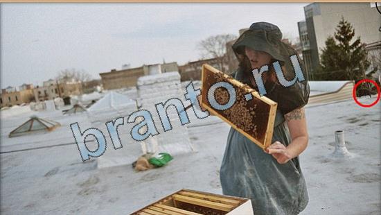 Где же кот помощь в картинках Уровень 5791