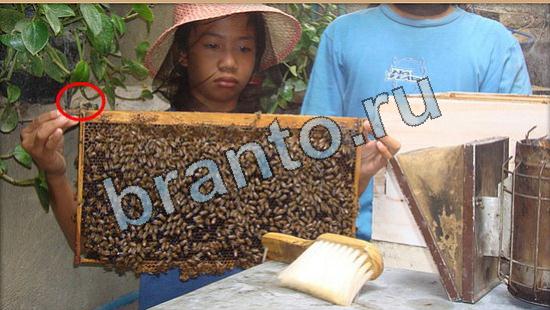 ответы на игру Где же кот в скриншотах Уровень 5792