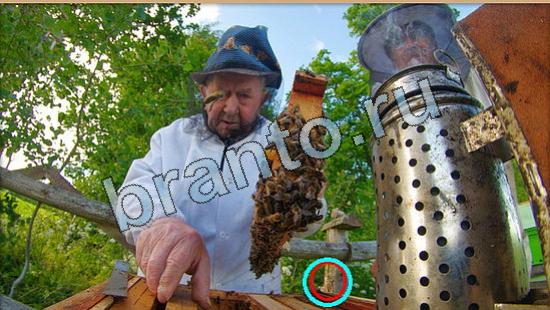 Где же кот ответы на новые задания Уровень 5793