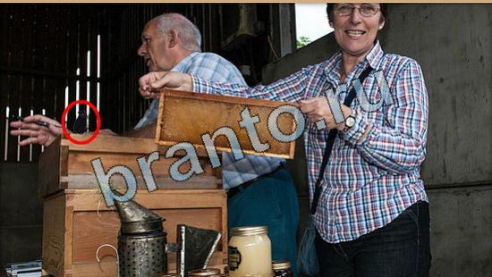 ответы на игру Где же кот Уровень 5796