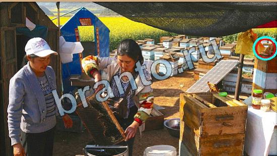 ответы в картинках на игру Где же кот Уровень 5797