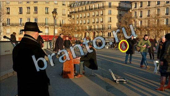 ответы на игру Где же кот Уровень 5801