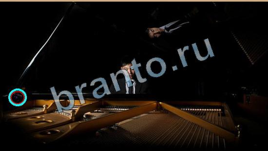 Решения на игру Где же кот Уровень 5803