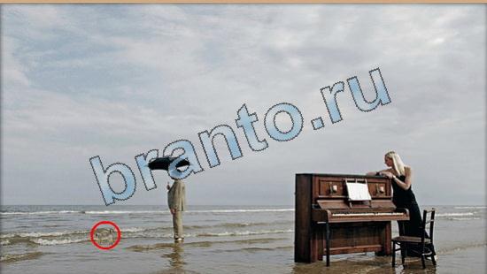 ответы на игру в одноклассниках Где же кот Уровень 5806