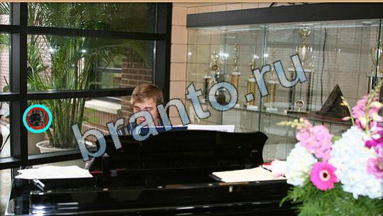 Где же кот игра ответы в одноклассниках Уровень 5807