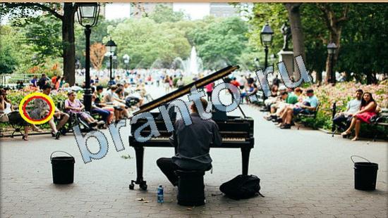 Где же кот? подсказки Уровень 5809