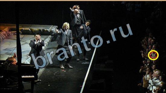 решебник на игру Где же кот Уровень 5811