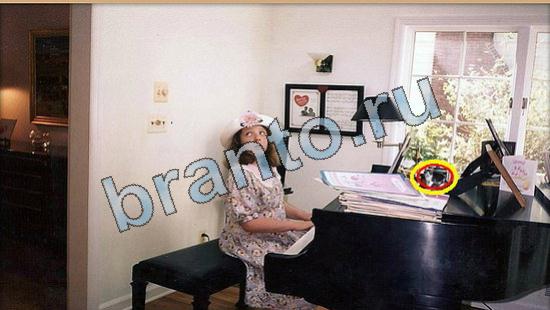 Где же кот? решения Уровень 5812