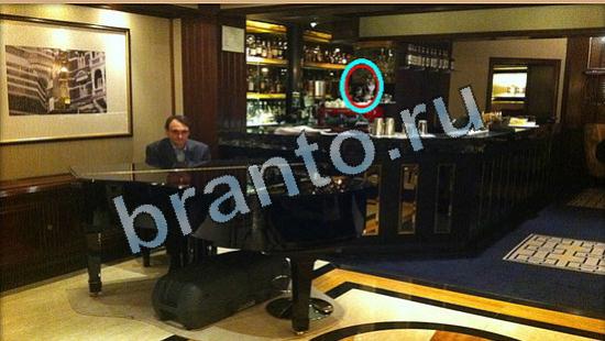 Где же кот игра ответы Уровень 5813