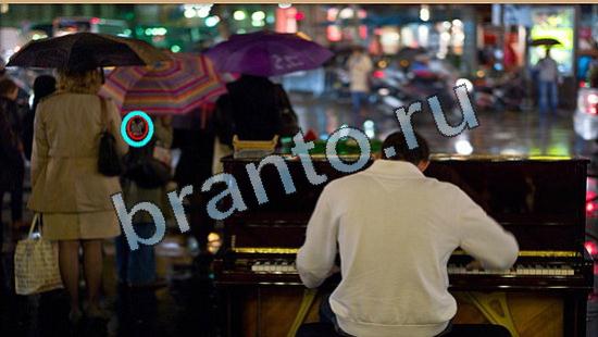 Где же кот игра подсказки Уровень 5814