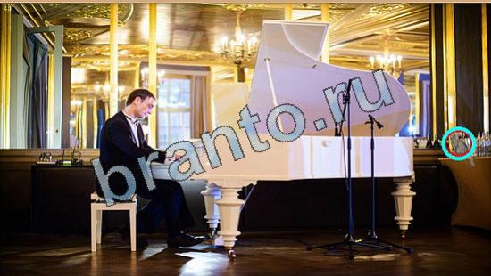 Где же кот ответы в картинках Уровень 5816