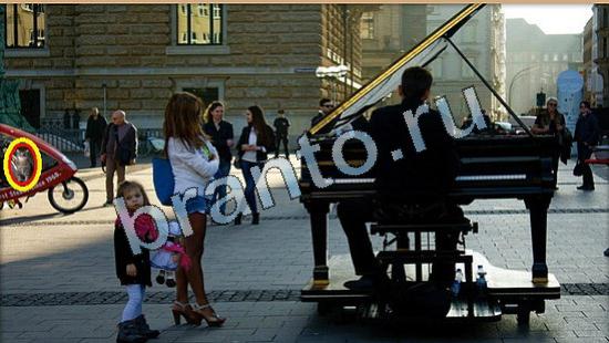 игра Где же кот помощь Уровень 5819