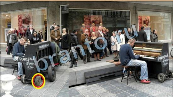 Игра Где же кот прохождение Уровень 5820