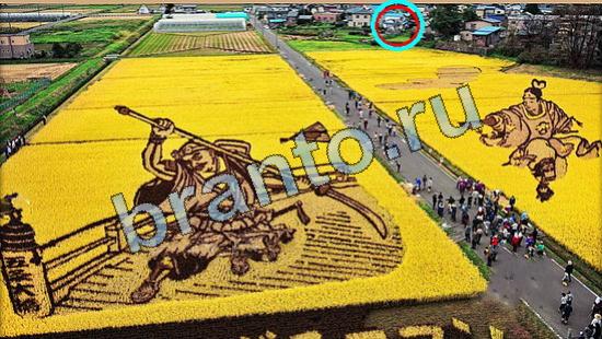 відповіді на игру Где же кот в одноклассниках Уровень 5823