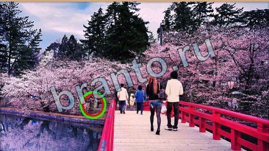 Прохождение игры Где же кот Уровень 5824