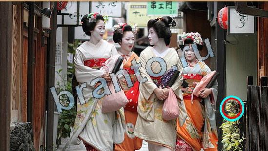 ответы Где же кот Уровень 5825