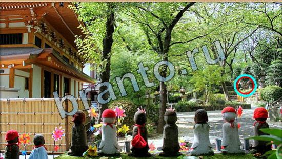 ответы Где же кот? в одноклассниках Уровень 5826