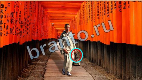 ответы для игры Где же кот Уровень 5827