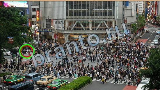 игра в одноклассниках Где же кот ответы Уровень 5830