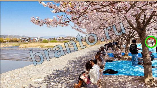 ответы на игру Где же кот в скриншотах Уровень 5832