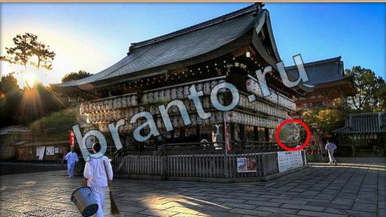 Где же кот ответы на новые задания Уровень 5833