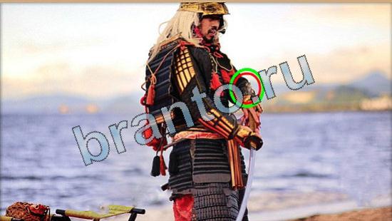 ответы на игру Где же кот Уровень 5834