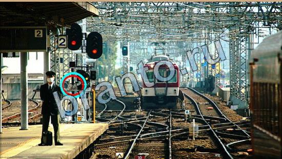 решения на игру Где же кот Уровень 5835