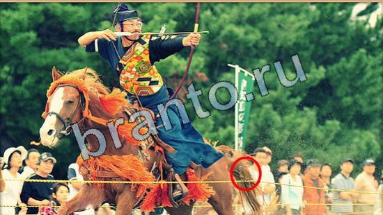 ответы на игру Где же кот Уровень 5836