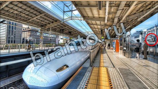 ответы в картинках на игру Где же кот Уровень 5837