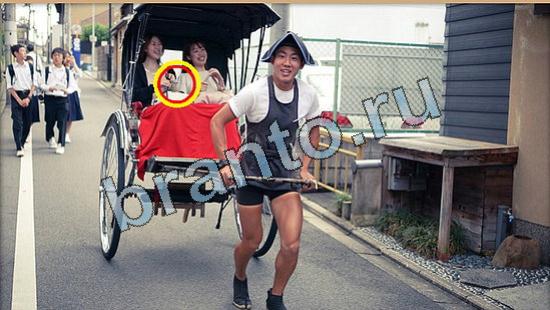 Где же кот игра ответы Уровень 5840