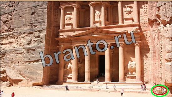 Решения на игру Где же кот Уровень 5843