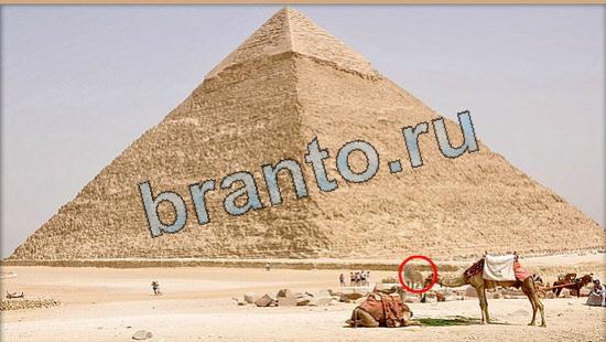 ответы к игре Где же кот Уровень 5845